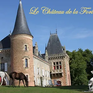 Château De La Forie Couette-café Saint-Etienne-sur-Usson